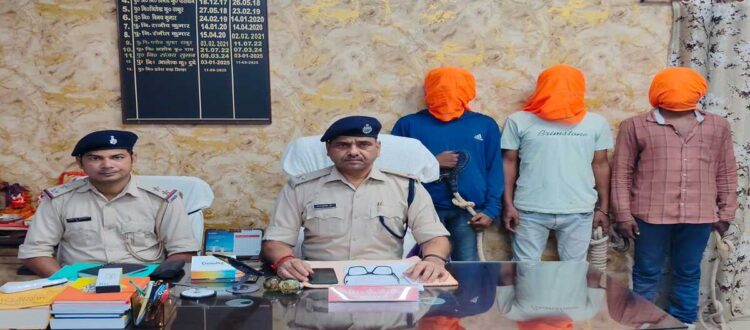 Kadma Robbery Case