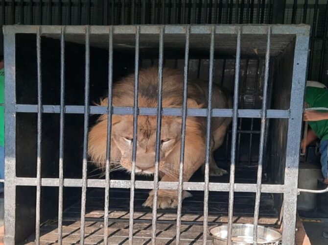 Jamshedpur Tata Zoo